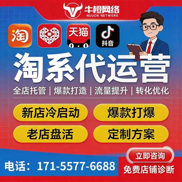 和田电商代运营