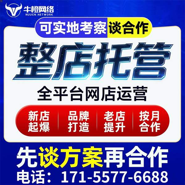 和田电商代运营