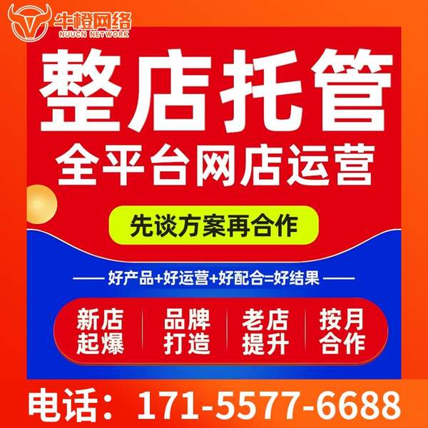 和田电商代运营