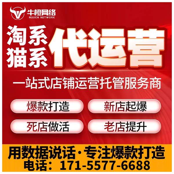 和田电商代运营